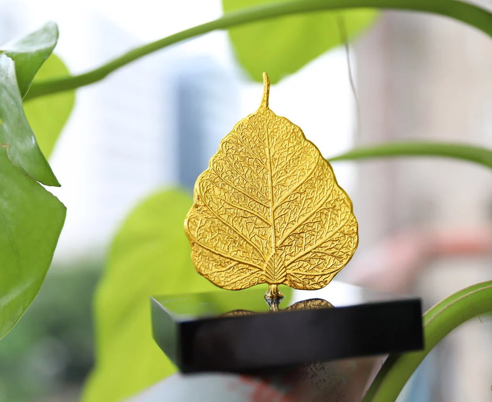 Hạn Chế và Đặc Điểm Của Lá Bồ Đề.png